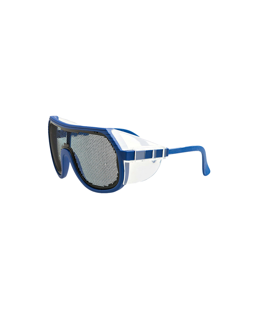 Wire Mesh Goggles
